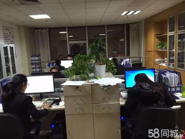 山东金证信息咨询服务 赋能企业决策的专业伙伴